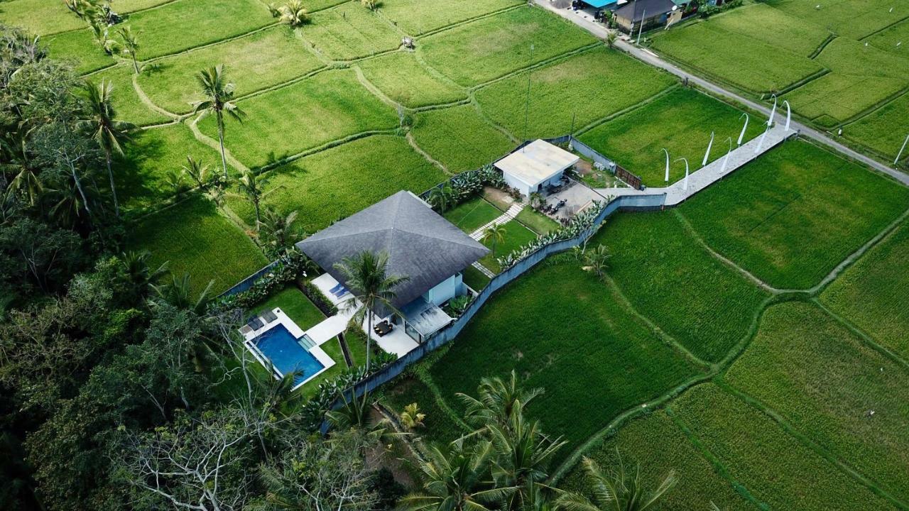 Villa K Ubud Zewnętrze zdjęcie
